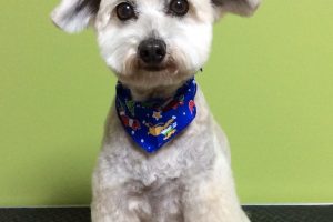 12月のお友達☆