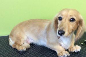 12月のお友達☆