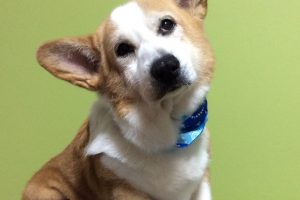 12月のお友達☆