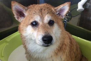 12月のお友達☆