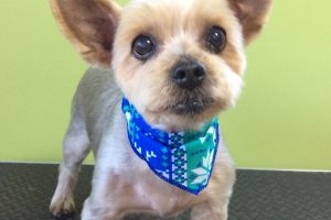 12月のお友達☆