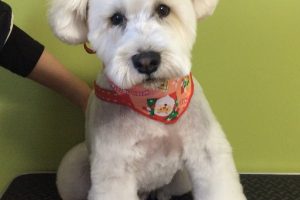 12月のお友達☆