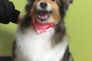 12月のお友達☆