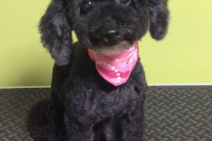 12月のお友達☆