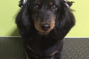 12月のお友達☆