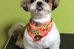 12月のお友達☆