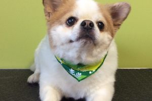 12月のお友達☆