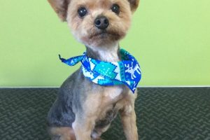 12月のお友達☆