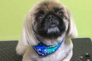 12月のお友達☆