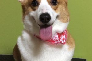 12月のお友達☆