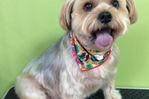 12月のお友達☆