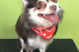 12月のお友達☆