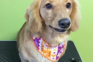 12月のお友達☆