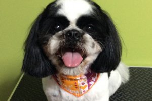 12月のお友達☆