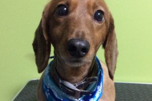 12月のお友達☆