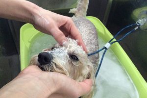 12月のお友達☆