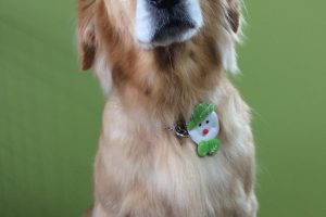 12月のお友達☆