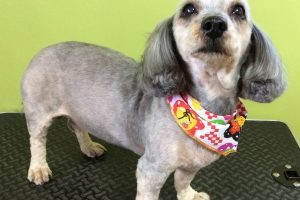 12月のお友達☆