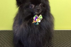 12月のお友達☆