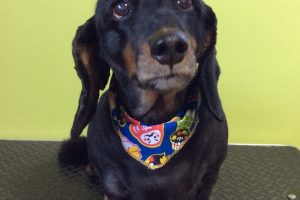 12月のお友達☆