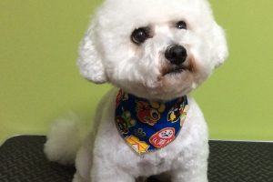 12月のお友達☆