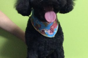 12月のお友達☆