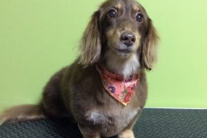 12月のお友達☆