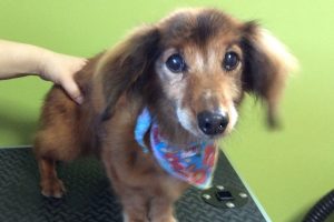 12月のお友達☆