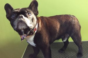 12月のお友達☆