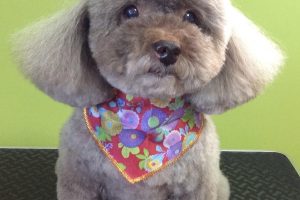 12月のお友達☆