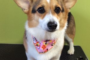 12月のお友達☆