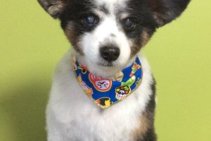 12月のお友達☆