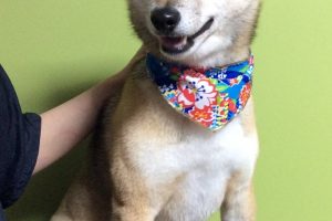 12月のお友達☆