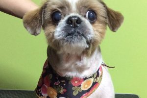 12月のお友達☆