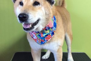 12月のお友達☆