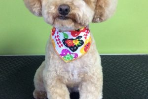 12月のお友達☆