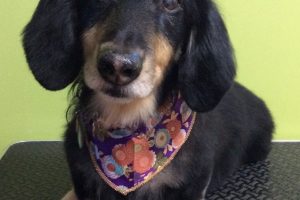 12月のお友達☆