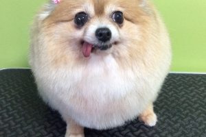 12月のお友達☆