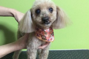 12月のお友達☆