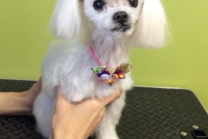 12月のお友達☆