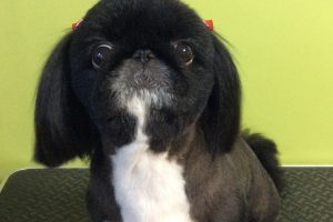 12月のお友達☆