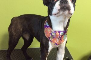 12月のお友達☆