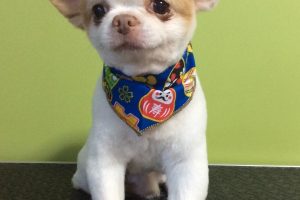 12月のお友達☆