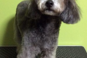 12月のお友達☆