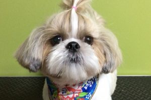 12月のお友達☆