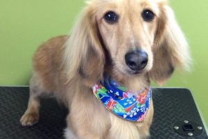 12月のお友達☆