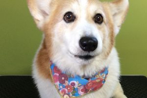 12月のお友達☆