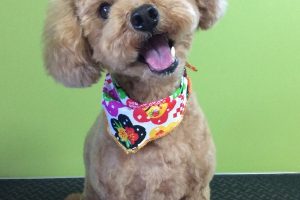 12月のお友達☆