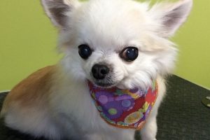 12月のお友達☆