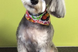 12月のお友達☆